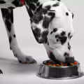 The Benefits of Buying Premium Quality Dog Food