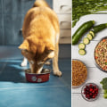 The Best Dog Food Brands: A Comprehensive Guide