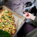 The Benefits of Feeding Your Dog a Homemade Diet
