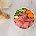 Health Risks of Feeding Your Dog an All-Natural Diet