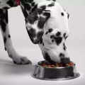 Organic Dog Food: Benefits for Your Furry Friend