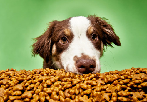 The Best Pet Food Store Online: A Comprehensive Guide