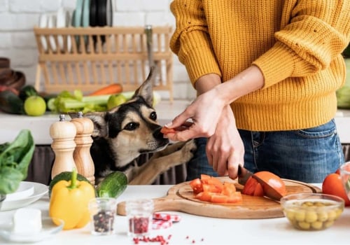 The Health Risks of Feeding Human Snacks to Dogs