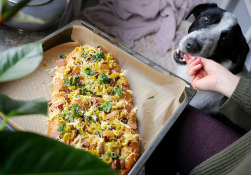 The Benefits of Feeding Your Dog a Homemade Diet